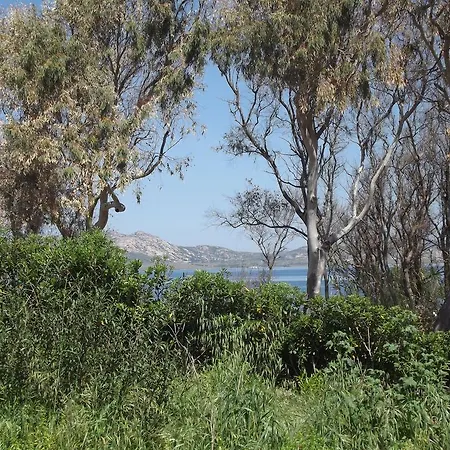 Mare Blu Lejlighed Stintino